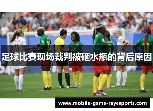 足球比赛现场裁判被砸水瓶的背后原因 足球比赛现场裁判被砸水瓶的背后原因