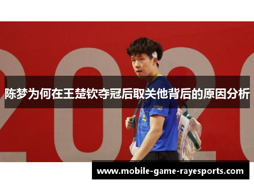 陈梦为何在王楚钦夺冠后取关他背后的原因分析 陈梦为何在王楚钦夺冠后取关他背后的原因分析