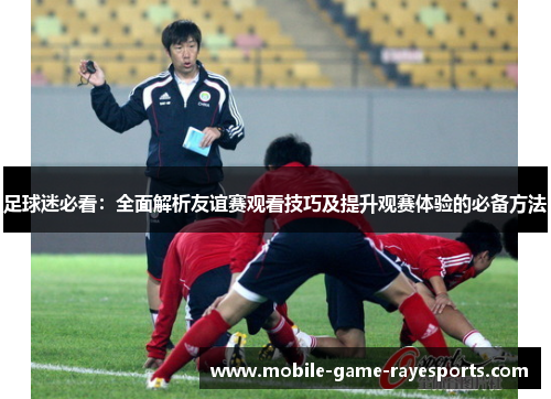 足球迷必看:全面解析友谊赛观看技巧及提升观赛体验的必备方法 足球迷必看:全面解析友谊赛观看技巧及提升观赛体验的必备方法