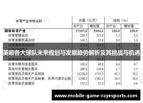 英超各大球队未来规划与发展趋势解析及其挑战与机遇 英超各大球队未来规划与发展趋势解析及其挑战与机遇