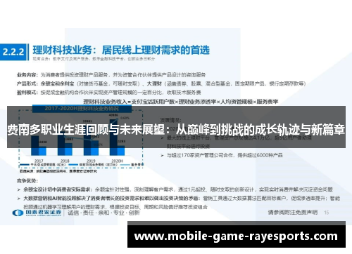 费南多职业生涯回顾与未来展望：从巅峰到挑战的成长轨迹与新篇章