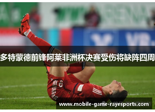 多特蒙德前锋阿莱非洲杯决赛受伤将缺阵四周
